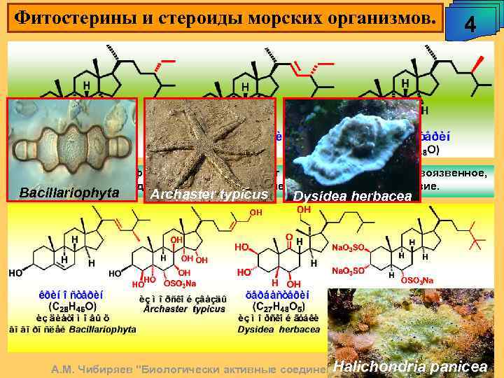 Фитостерины и стероиды морских организмов. 4 На млекопитающих фитостерины оказывают гепатозащитное, противоязвенное, противораковое, антидиабетическое