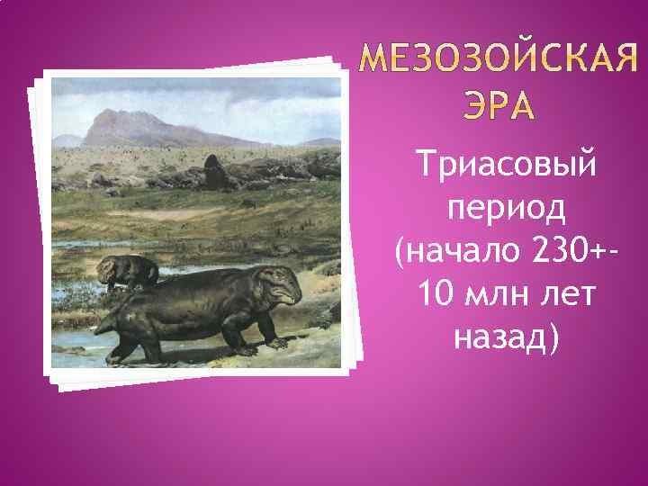 Триасовый период (начало 230+10 млн лет назад) 
