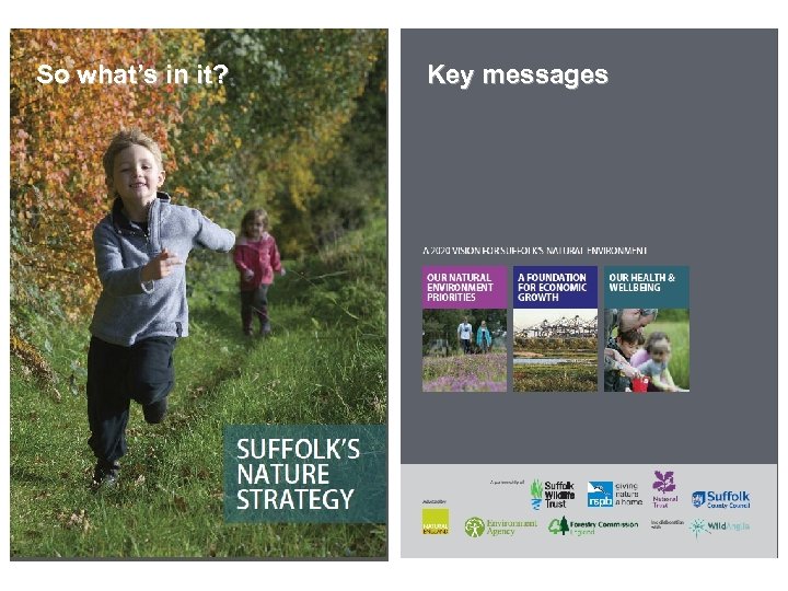 So what’s in it? Key messages 