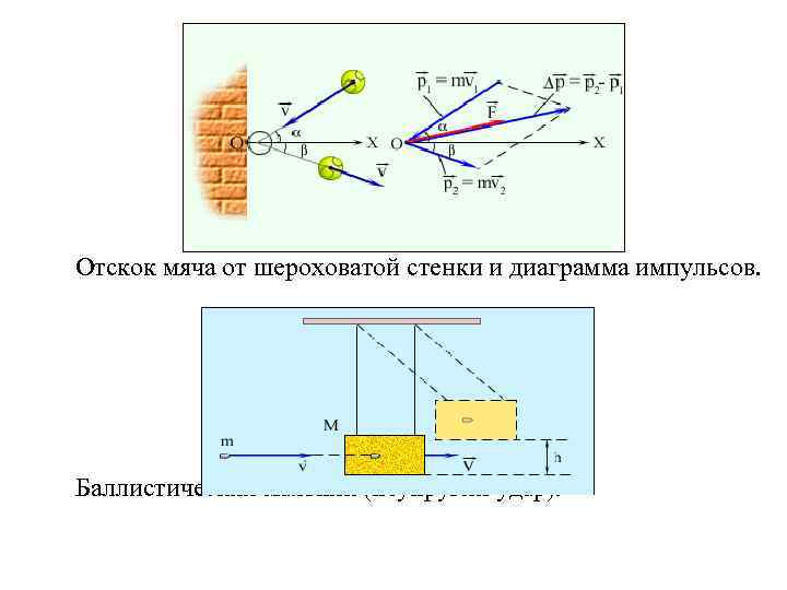 Отскок мяча. Баллистический маятник неупругий удар. Траектория отскока мяча. Угол отскока физика. Отскок от стены физика.