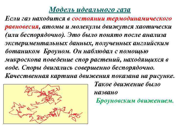 Модель идеального газа Если газ находится в состоянии термодинамического равновесия, атомы и молекулы движутся