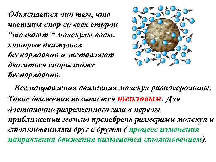 Почему движение молекул называют тепловым. Элементы термодинамики. В каких телах наблюдается беспорядочное движение молекул?.