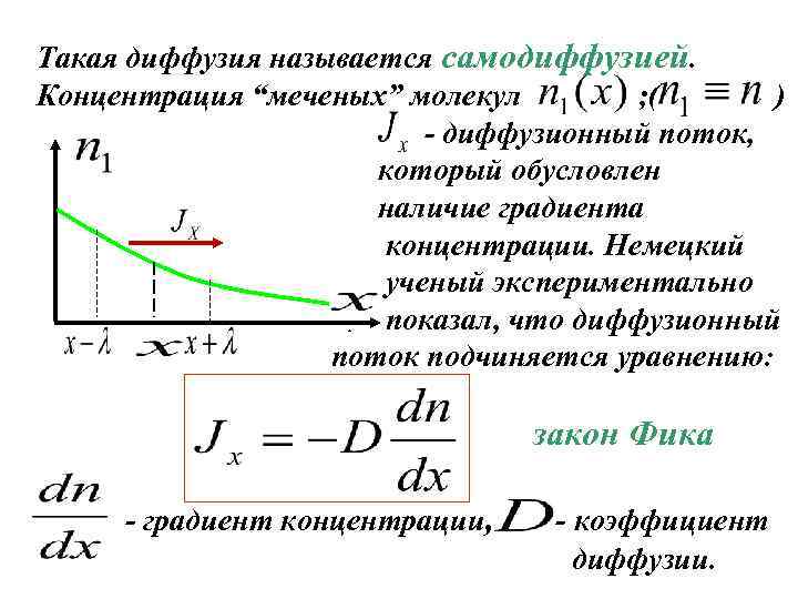 Такая диффузия называется самодиффузией. Концентрация “меченых” молекул ; ( ) - диффузионный поток, который