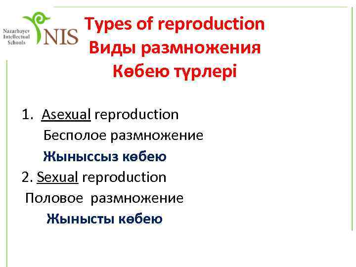 Types of reproduction Виды размножения Көбею түрлері 1. Asexual reproduction Бесполое размножение Жыныссыз көбею