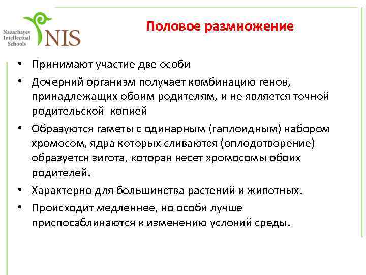 Половое размножение • Принимают участие две особи • Дочерний организм получает комбинацию генов, принадлежащих