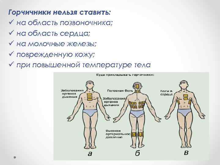 Горчичники нельзя ставить: ü на область позвоночника; ü на область сердца; ü на молочные