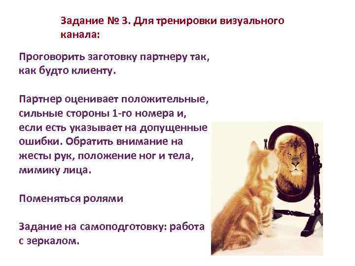 Задание № 3. Для тренировки визуального канала: Проговорить заготовку партнеру так, как будто клиенту.