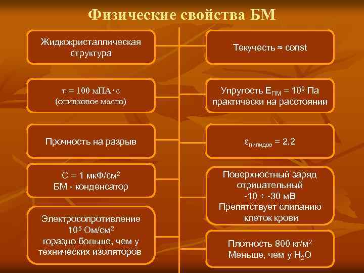 Физические свойства БМ Жидкокристаллическая структура Текучесть ≈ const η = 100 м. ПА٠с (оливковое