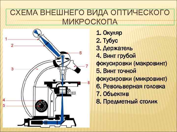 Виды микроскопии схема