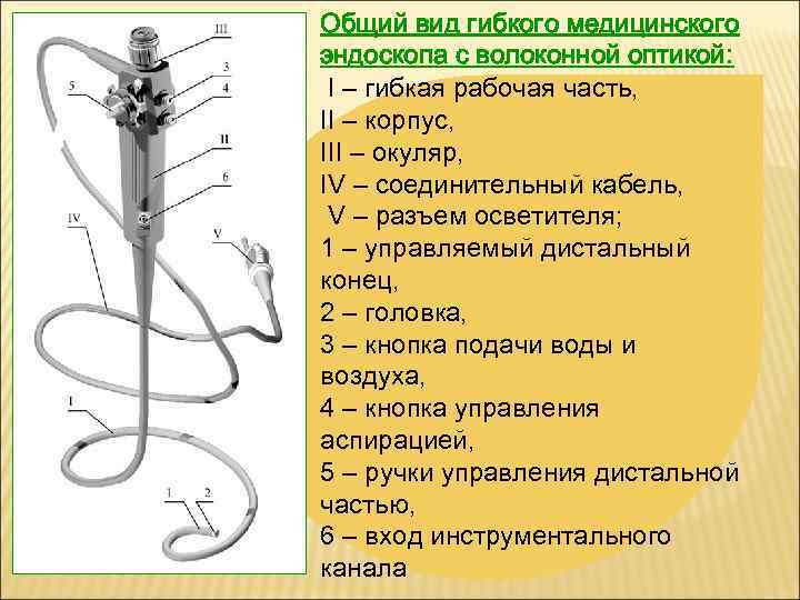 Части эндоскопа