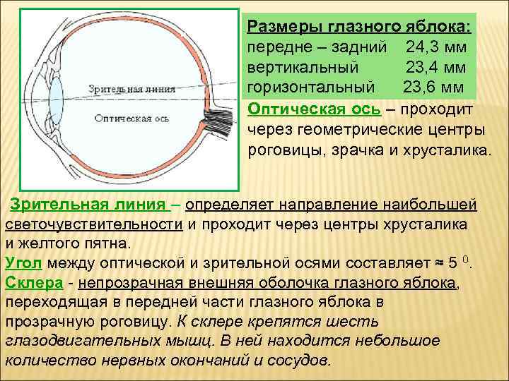 Где и какие изображения предметов дает оптическая система глаза ответ