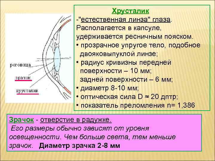 Хрусталик -