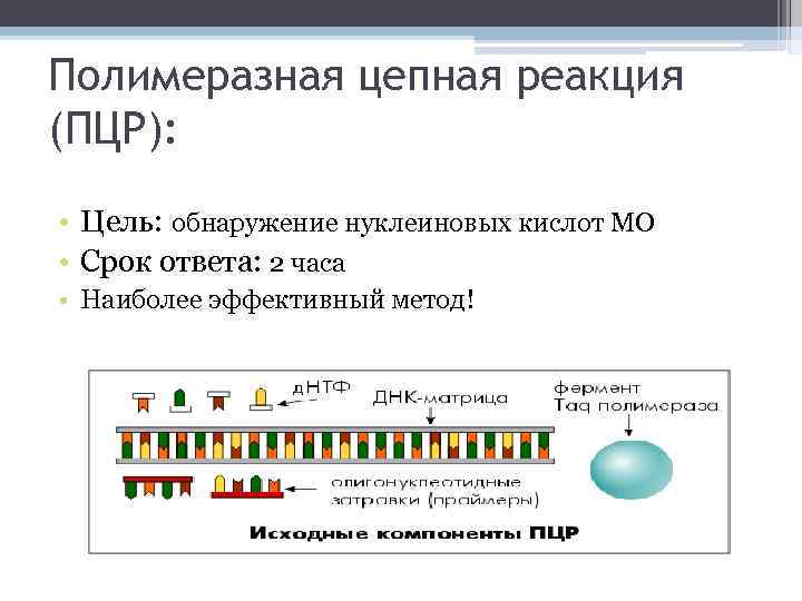 Полимеразная цепная реакция (ПЦР): • Цель: обнаружение нуклеиновых кислот МО • Срок ответа: 2