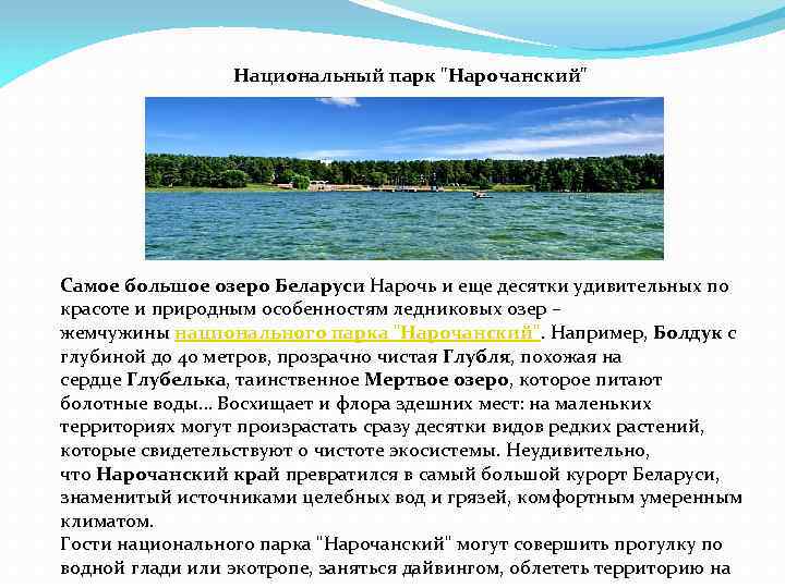 Нарочанский парк презентация