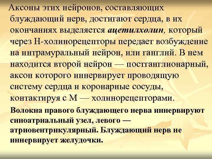 Аксоны этих нейронов, составляющих блуждающий нерв, достигают сердца, в их окончаниях выделяется ацетилхолин, который