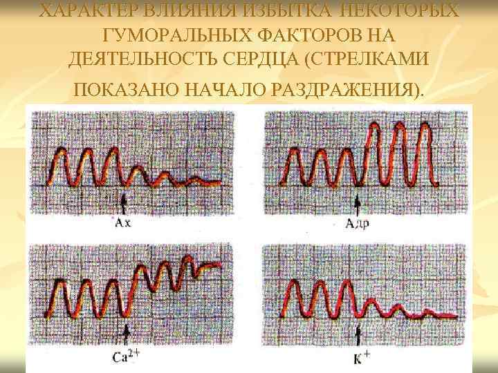 ХАРАКТЕР ВЛИЯНИЯ ИЗБЫТКА НЕКОТОРЫХ ГУМОРАЛЬНЫХ ФАКТОРОВ НА ДЕЯТЕЛЬНОСТЬ СЕРДЦА (СТРЕЛКАМИ ПОКАЗАНО НАЧАЛО РАЗДРАЖЕНИЯ). 