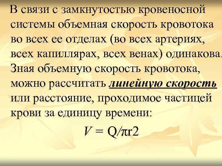 В связи с замкнутостью кровеносной системы объемная скорость кровотока во всех ее отделах (во