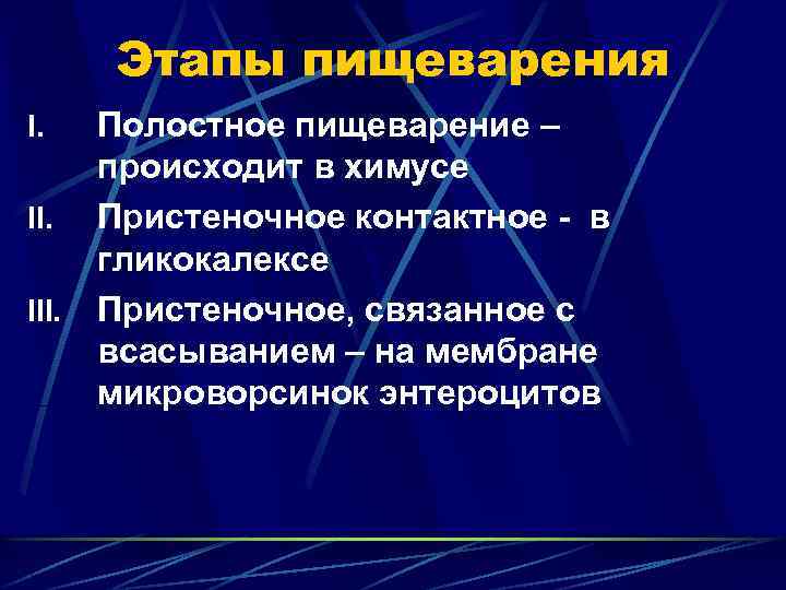 Этапы пищеварения I. III. Полостное пищеварение – происходит в химусе Пристеночное контактное - в