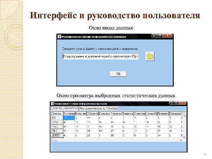 Интерфейс и руководство пользователя Окно ввода данных Окно просмотра выбранных статистических данных 10 