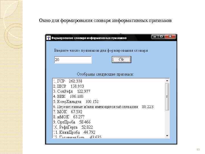 Окно для формирования словаря информативных признаков 12 