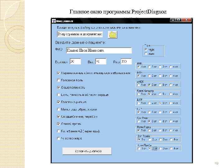 Главное окно программы Project. Diagnoz 13 