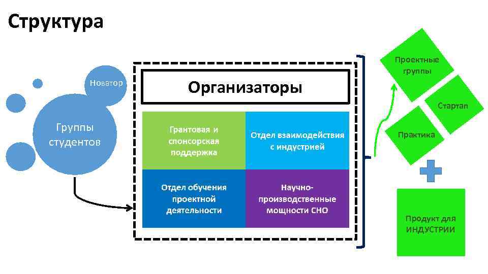 Сколково презентация стартап