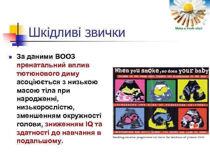 Шкідливі звички n За даними ВООЗ пренатальний вплив тютюнового диму асоціюється з низькою масою