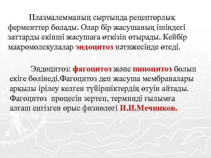 Плазмалемманың сыртында рецепторлық ферменттер болады. Олар бір жасушаның ішіндегі заттарды екінші жасушаға өткізіп отырады.