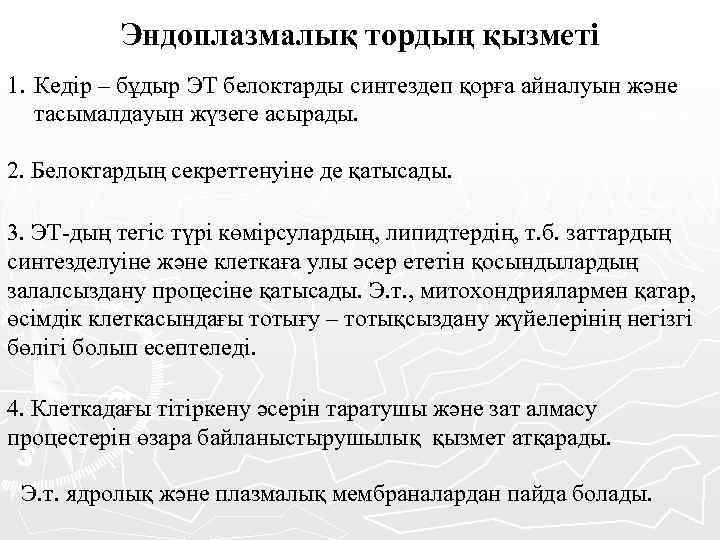 Эндоплазмалық тордың қызметі 1. Кедір – бұдыр ЭТ белоктарды синтездеп қорға айналуын және тасымалдауын