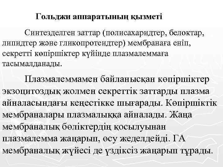  Гольджи аппаратының қызметі Синтезделген заттар (полисахаридтер, белоктар, липидтер және гликопротеидтер) мембранаға еніп, секретті