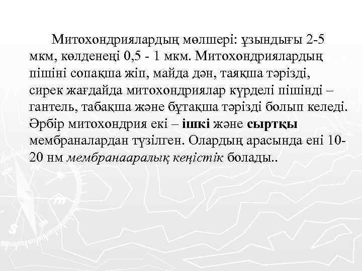 Митохондриялардың мөлшері: ұзындығы 2 -5 мкм, көлденеңі 0, 5 - 1 мкм. Митохондриялардың пішіні