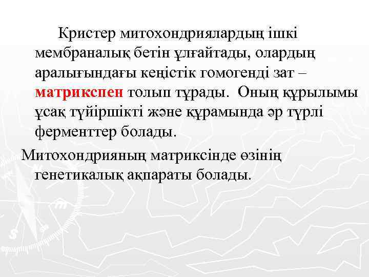 Кристер митохондриялардың ішкі мембраналық бетін ұлғайтады, олардың аралығындағы кеңістік гомогенді зат – матрикспен толып