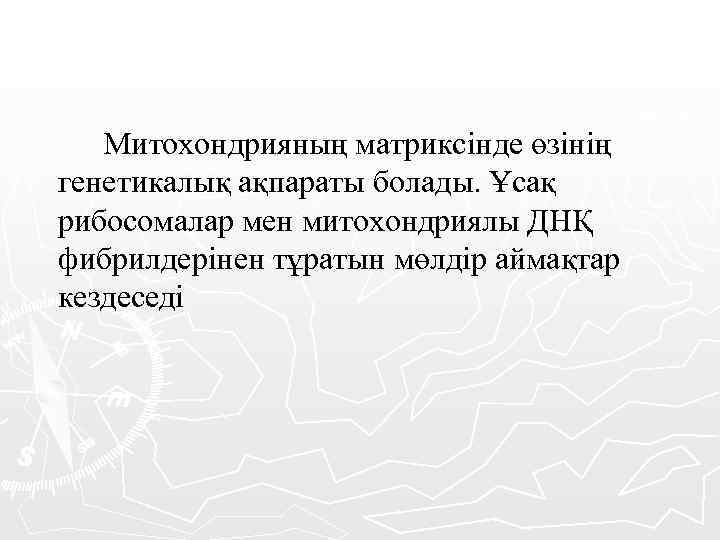 Митохондрияның матриксінде өзінің генетикалық ақпараты болады. Ұсақ рибосомалар мен митохондриялы ДНҚ фибрилдерінен тұратын мөлдір