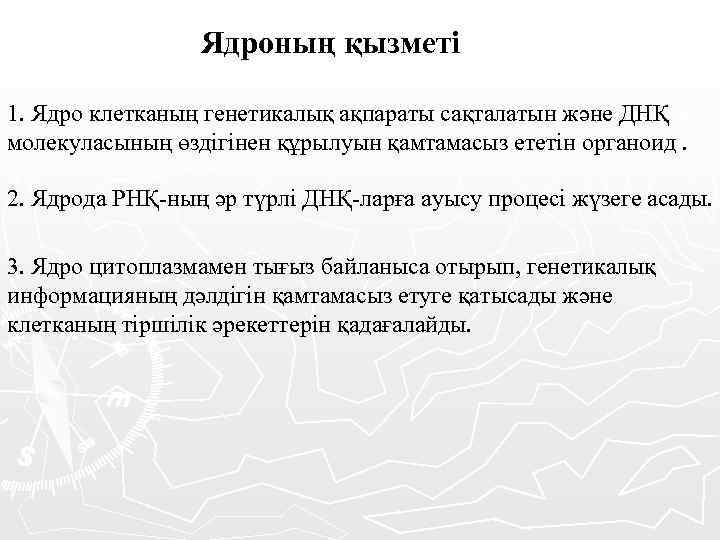  Ядроның қызметі 1. Ядро клетканың генетикалық ақпараты сақталатын және ДНҚ молекуласының өздігінен құрылуын
