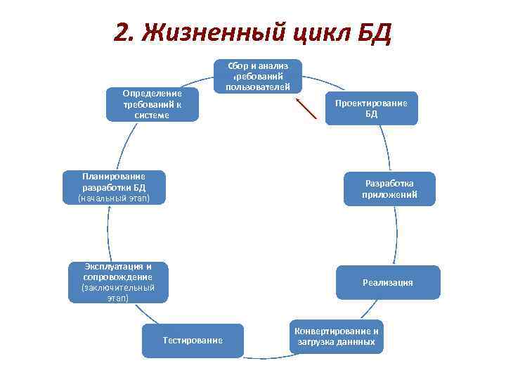 Презентация жизненный цикл базы данных