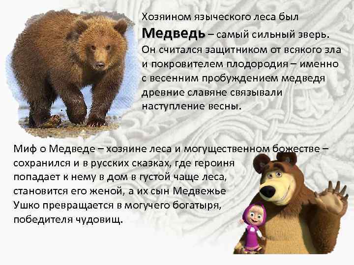 Хозяином языческого леса был Медведь – самый сильный зверь. Он считался защитником от всякого