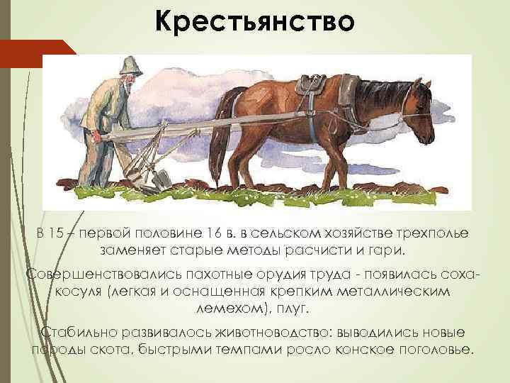 Крестьянство В 15 – первой половине 16 в. в сельском хозяйстве трехполье заменяет старые