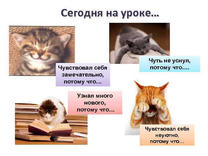 Сегодня на уроке… Чувствовал себя замечательно, потому что… Чуть не уснул, потому что…. Узнал