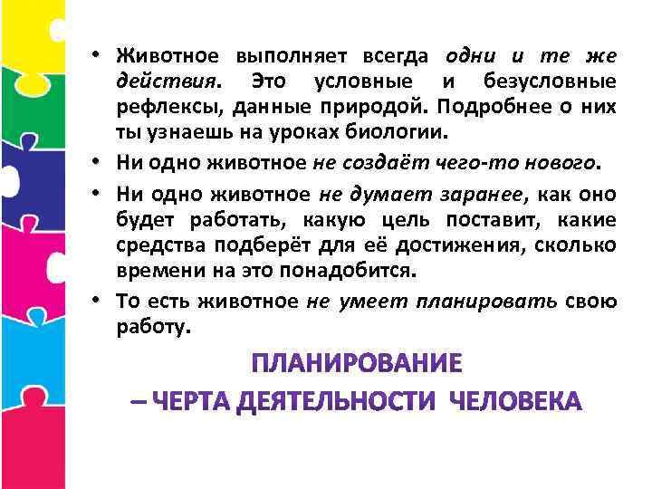  • Животное выполняет всегда одни и те же действия. Это условные и безусловные