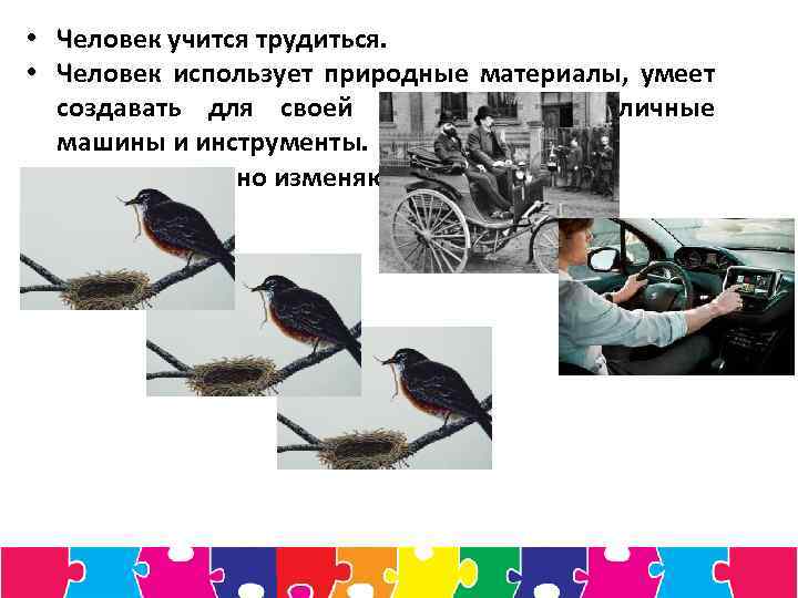  • Человек учится трудиться. • Человек использует природные материалы, умеет создавать для своей