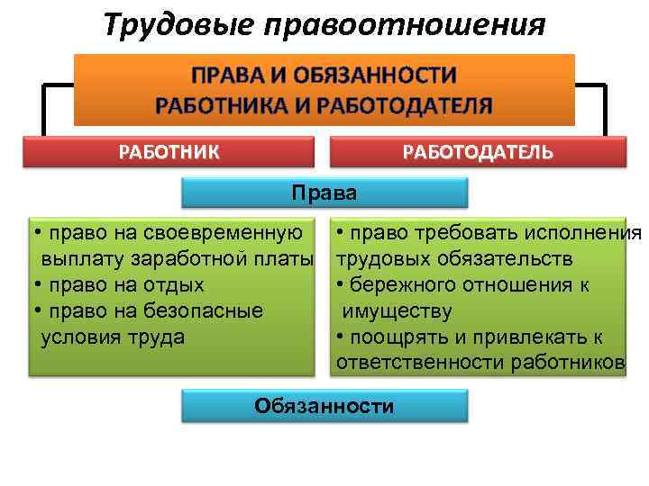 Трудовые правоотношения ПРАВА И ОБЯЗАННОСТИ РАБОТНИКА И РАБОТОДАТЕЛЯ РАБОТНИК РАБОТОДАТЕЛЬ Права • право на