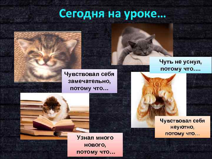 Сегодня на уроке… Чувствовал себя замечательно, потому что… Узнал много нового, потому что… Чуть