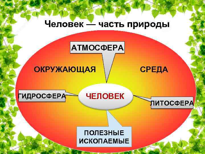 Человек является частью природы