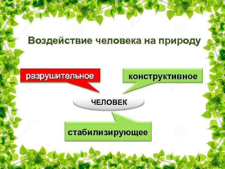 Воздействие человека на природу 7 класс конспект