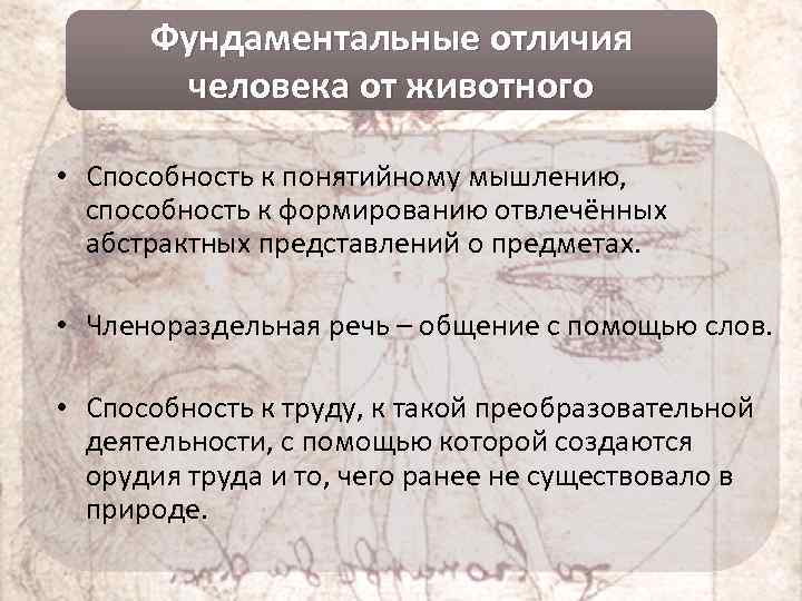 Фундаментальные отличия человека от животного • Способность к понятийному мышлению, способность к формированию отвлечённых