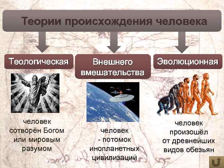 Гипотезы происхождения человека проект