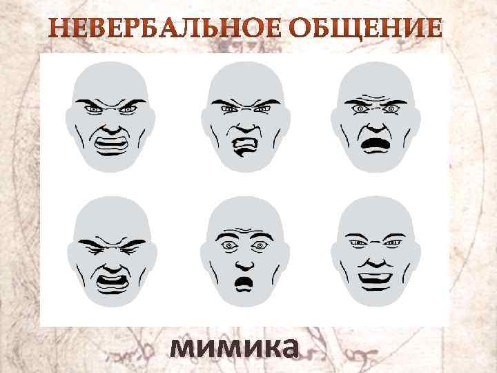 мимика 