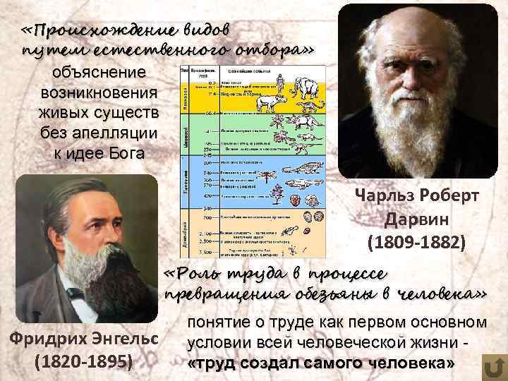  «Происхождение видов путем естественного отбора» объяснение возникновения живых существ без апелляции к идее