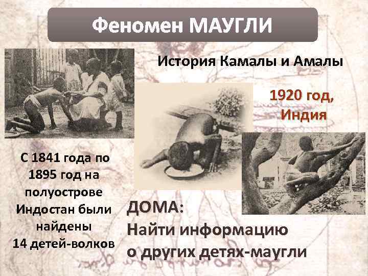 Феномен МАУГЛИ История Камалы и Амалы 1920 год, Индия С 1841 года по 1895