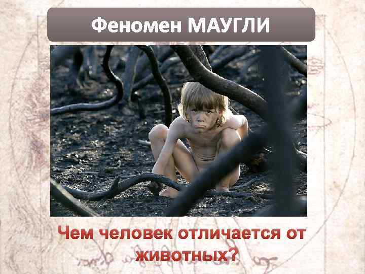 Феномен МАУГЛИ Чем человек отличается от животных? 